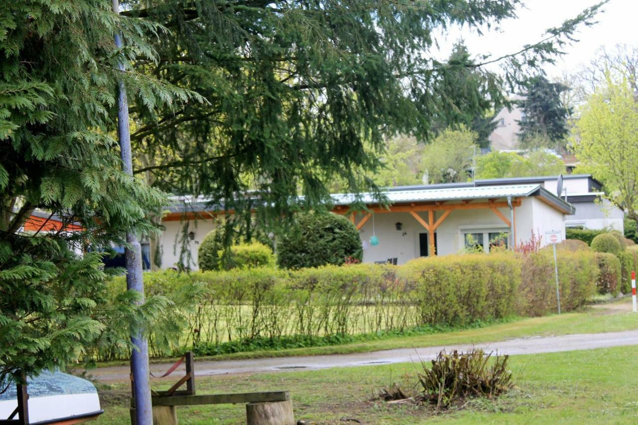 Haus 9 Villa Schwarz ภายนอก รูปภาพ